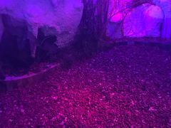 -水晶之星洗浴温泉汗蒸