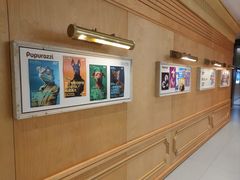 -帕帕拉兹宠物(亚洲旗舰店)