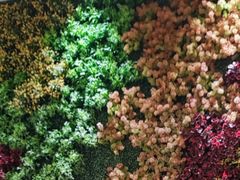 -青水瓦台汤泉(未央店)