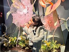 -沅江水·空中花园餐厅(珠江新城雅居乐中心店)