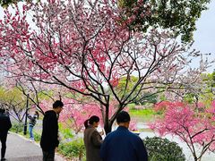 -圩墩遗址公园