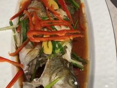 -天鹅到家·保姆月嫂育儿嫂(朝阳店)