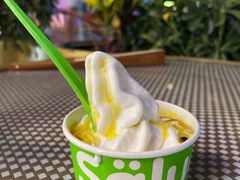 -Salud撒露欧洲冻酸奶(蓝色港湾店)