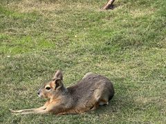 -祥源·阜阳生态乐园