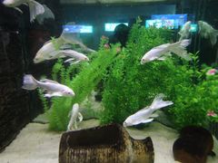 -洛阳龙门海洋馆