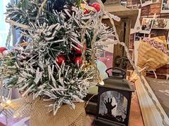 -熊叔熊婶面包房(团结湖店)