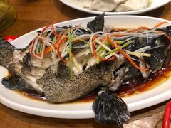清蒸南海大龙胆-必点海鲜·鲅鱼水饺(鞍山西道店)
