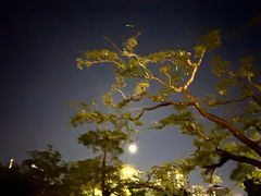 -金泰食府(竹园店)