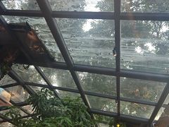 -海岛八号龙虾烧烤田鸡(蓝天路总店)