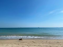 -西涌国际滨海旅游区