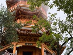 -塔云山