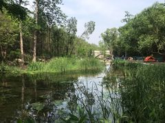 -白水寺森林公园