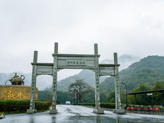 -龙坞茶村