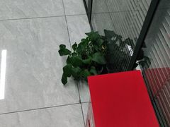 -新航道雅思托福·留学·考研培训(人民广场校区)