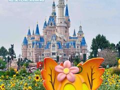 -上海迪士尼度假区