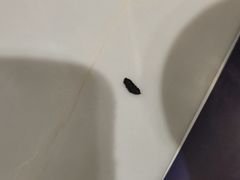 -蜀腾川·火锅鱼.烤鱼(新世界城店)