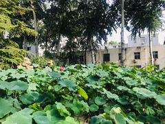 -北京邮电大学