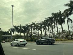 -广州花园酒店