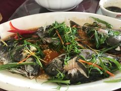 -民丰饭店(海丰黄江医院西)