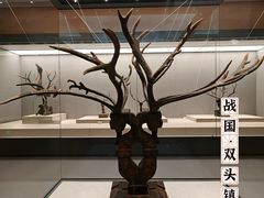 -荆州博物馆
