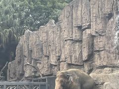 -成都动物园