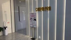 -COSMO PRO造型