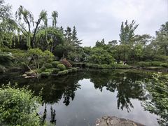 -秋霞圃