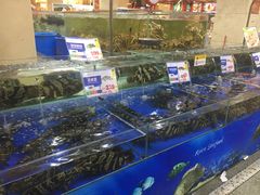水产区-东江海鲜酒家(艺都分店)