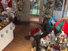 -秀儿家の小确幸融合西餐厅(万达店)
