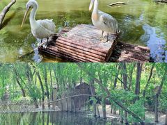 -济南野生动物世界