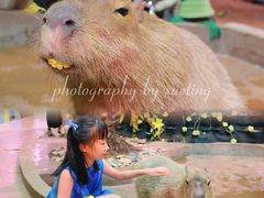 -正佳雨林生态植物园