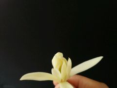 -自贡盐帮菜·玩辣餐厅(樱花园西街店)