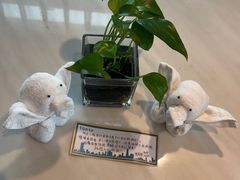 -深圳国际会展中心希尔顿酒店(前海华发冰雪世界店)