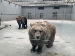 -银川动物园