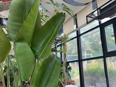 -北马山庄植趣咖啡