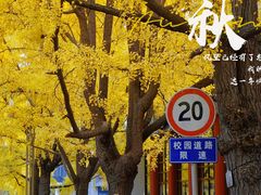 -四川大学(华西校区)