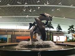 -青岛胶东国际机场