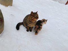 -终南山南五台景区