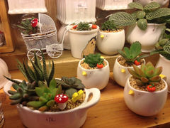 iphone_upload_pic-妃比花艺(光启城时尚购物中心店)