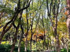 -宁波市保国寺古建筑博物馆