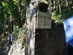 -莫干山风景区