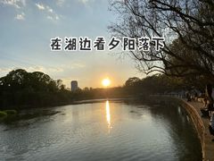 -翠湖公园