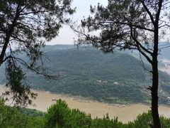 -铁山坪森林公园