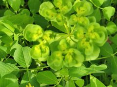 -宁波儿童公园(鄞州区)