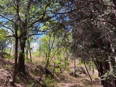 -北京鹫峰国家森林公园