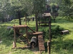 -济南野生动物世界