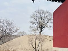 -北陵公园