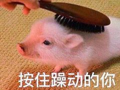 -85度C(南京中山南店)