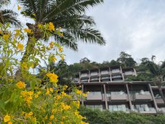 -普吉岛凯悦酒店