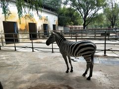 -祥源·阜阳生态乐园